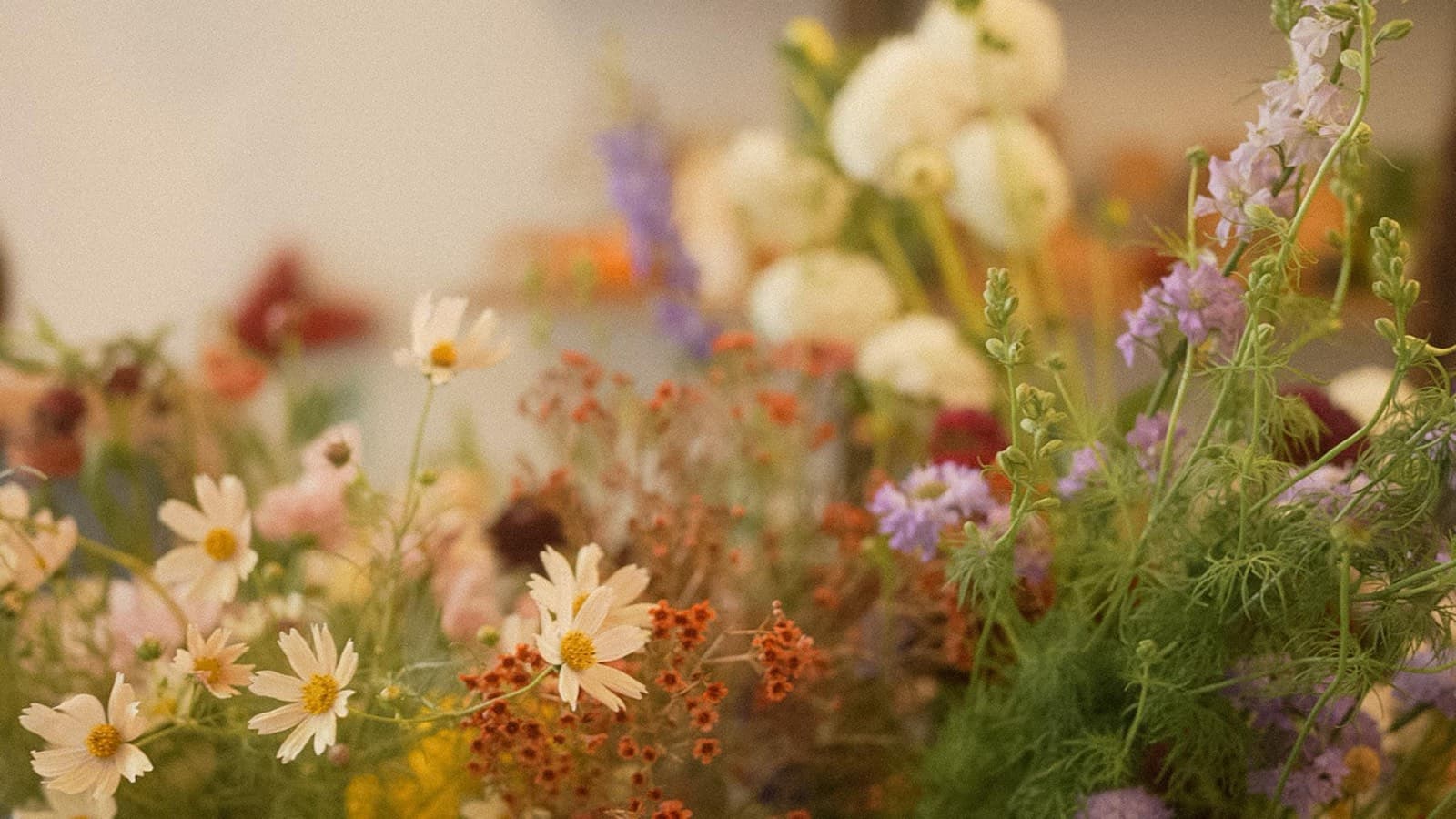 A loose, garden-style mix of white cosmos, lavender larkspur, scabiosa, rust-orange blooms and feathery greenery at Fiori Flowers in Boulder