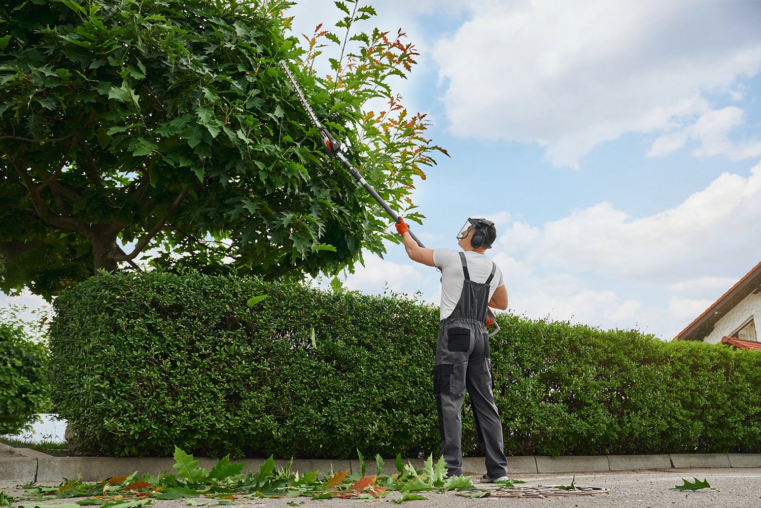  A man trims trees and hedges. Wildfire preparation in Boulder isn't a once-and-done project—it requires ongoing maintenance that changes with seasons and weather conditions. Learn more about Boulder County's fire mitigation requirements in our comprehensive guide. 