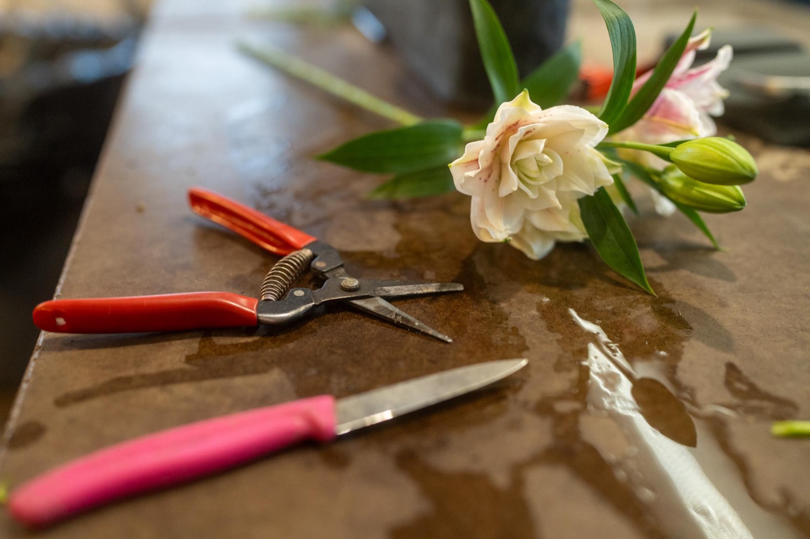 Red-handled floral clippers and a pink floral knife on a wet worktable beside a fresh-cut pale pink lily