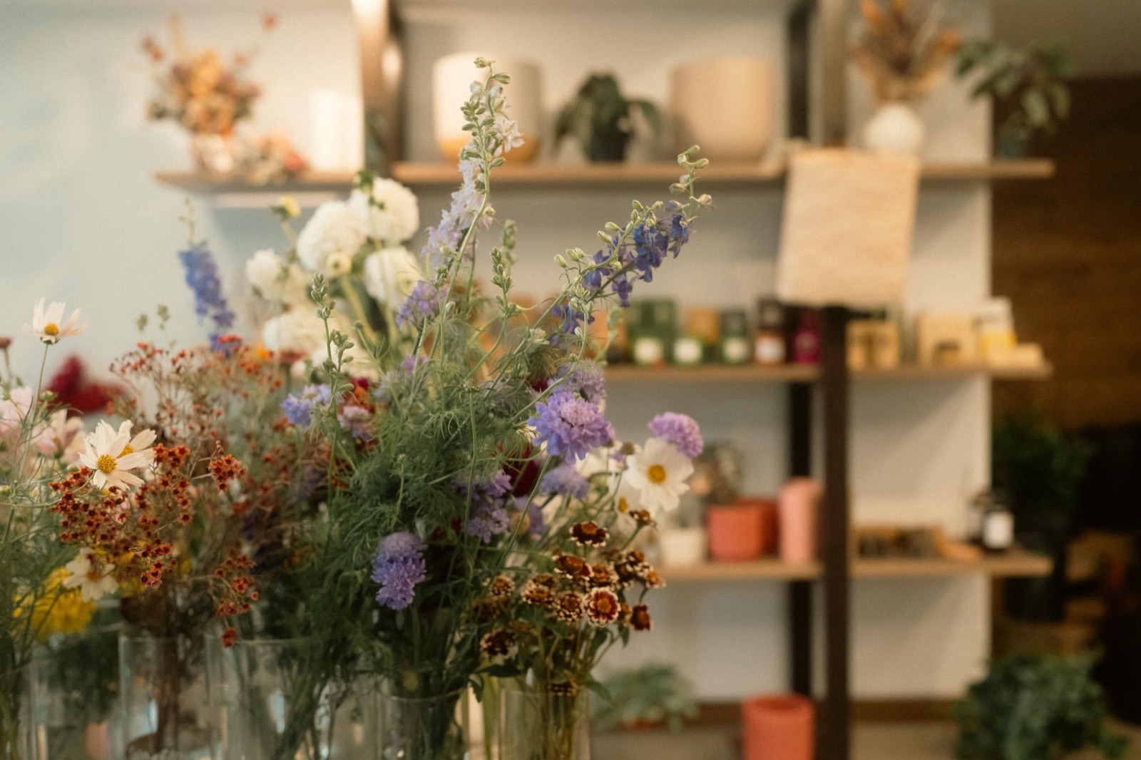 Glass vases of white cosmos, purple scabiosa, larkspur and rust-colored blooms in front of the shelves at Fiori Flowers