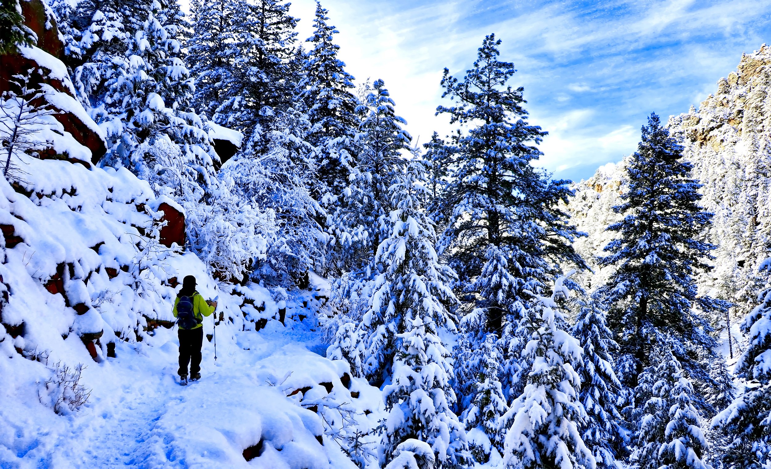  A hiker snowshoes on Rattlesnake Gulch Trail in Eldorado Canyon State Park in Boulder, Colorado. 